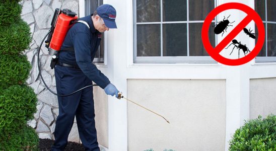 Kemeraltı Hamam Böceği İlaçlama böcek ilaçlama ve haşere kontrolü — ilaclama-tr.com